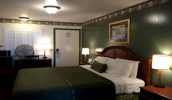 Holland Inn & Suites - Standard Queen